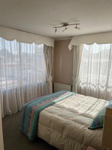 a bedroom with a bed with curtains and a window at Steps from Everything in Viña del Mar +23 photos