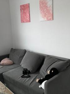 a stuffed animal sitting on top of a couch at Domek w Biłgoraju in Biłgoraj