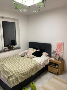 a bedroom with a bed and a table and a window at Domek w Biłgoraju in Biłgoraj