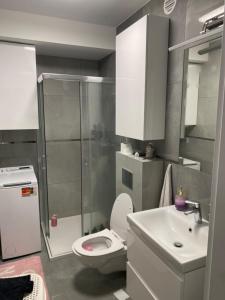 a bathroom with a shower and a toilet and a sink at Domek w Biłgoraju in Biłgoraj