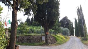 a dirt road with trees and a stone wall at Agriturismo Villino del Grillo in San Gimignano