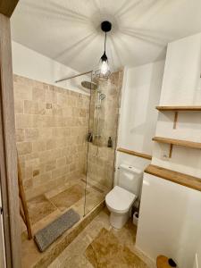 a bathroom with a shower and a toilet at Suite appartement in Châteaurenard +11 photos