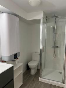 a bathroom with a toilet and a glass shower at Le Farconnet in Tournon-sur-Rhône