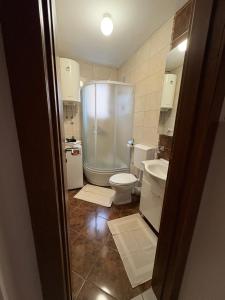 a bathroom with a shower and a toilet and a sink at Apartman Solis in Igalo +5 photos