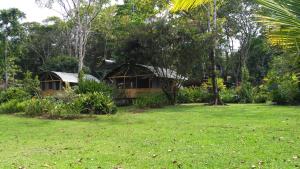 a house in the middle of a yard at Lirio Lodge in Barra de Pacuare
