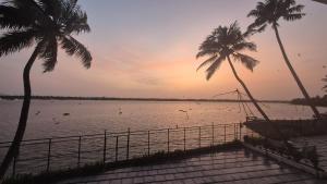 a view of a body of water with palm trees at The Lawrences Aqua Stay in Cochin