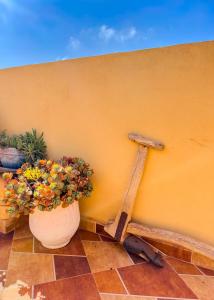 Fotografie z fotogalerie ubytování Tayafut Apartments & Terrace by Surfleft Morocco v destinaci Mirleft