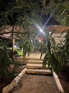 Zahrada ubytování pasha nungwi zanzibar