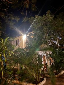 Zahrada ubytování pasha nungwi zanzibar