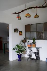 アマランテにあるCasa de Luzesのテーブルと鉢植えの植物がある部屋