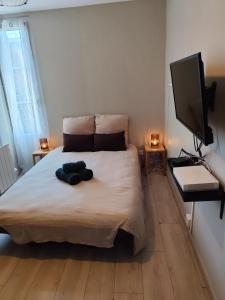 Ένα ή περισσότερα κρεβάτια σε δωμάτιο στο La Bulle de Tours, hyper center, train station in front! +5 φωτογραφίες