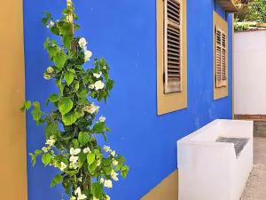 Zahrada ubytování House in the Countryside with Eolian View