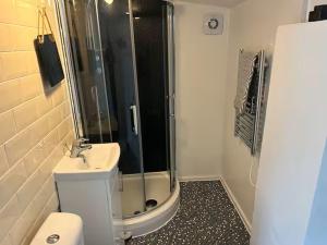 a bathroom with a shower and a toilet and a sink at Emsworth Studio - With Hot tub only Oct to April in Emsworth