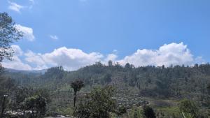 Fotografie z fotogalerie ubytování Sivagee Guesthouse v destinaci Holbrook + 20 fotografií