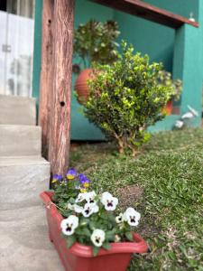 a red planter with flowers in the grass at Chalé Climatizado com banheira em frente ao Parque do Passaúna em Curitiba by Tiny House Passaúna in Curitiba