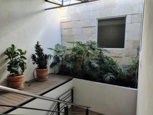 a balcony with potted plants and a flat screen tv at Hotel Soretti in Durango
