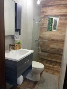 a bathroom with a sink and a toilet and a shower at Jeda Village in Higuey +5 photos
