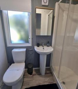 a bathroom with a toilet and a sink and a shower at The Treehouse Northumberland in Swarland
