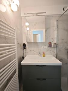 une salle de bain avec un lavabo et un miroir dans l'établissement 2 min From Arc de Triomphe Elegant Apartment for 4, à Paris