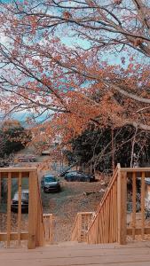 a wooden deck with cars parked in a parking lot at Labelle in Wilkes-Barre