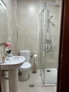 a bathroom with a shower and a toilet and a sink at Casa Lolita / Camino de Santiago / Porriño in Porriño +24 photos