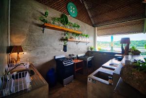 a kitchen with a stove and some plants on the wall at Hostal Don Cenobio in Flores