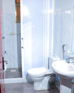 a bathroom with a shower and a toilet and a sink at Greatwall in Athi River
