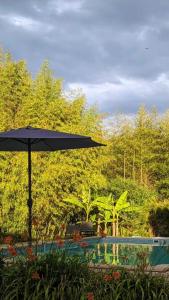 Gambar di galeri bagi Gîte avec piscine - La Chapelle di Graulhet