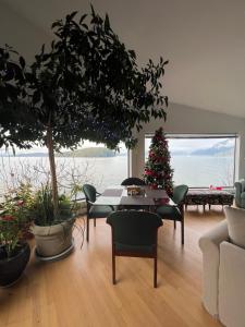 a living room with a christmas tree and a table and chairs at Whales house in Horseshoe Bay