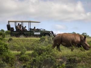 帕特森Founders Lodge by Mantis的一群人坐在车里观看犀牛