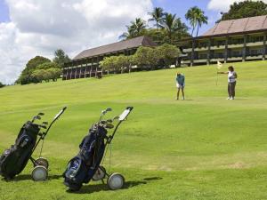 a group of people playing golf on a golf course at Novotel Nadi in Nadi