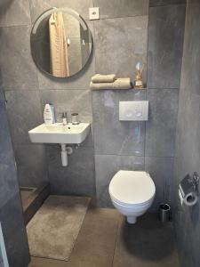 a bathroom with a toilet and a sink and a mirror at Bellavista Home in Trimbach