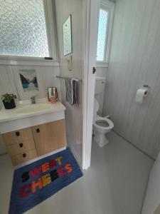 a bathroom with a sink and a toilet and a rug at McKerrow St - 2 in Te Anau +3 photos