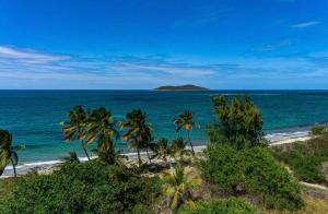 una isla en el océano con palmeras en una playa en Green Cay - Walk to the Beach - King Bed - AC, en Christiansted 7 fotos más