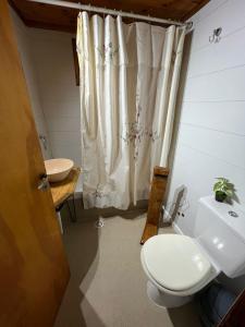 a bathroom with a toilet and a sink at Cabaña con pileta & jardín- a minutos del centro y la playa in Miramar