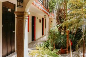 a hallway of a building with plants in it at Hotel Quinta Marciala MX in Valladolid