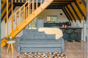 a living room with a couch and a kitchen at Chalés Sol da Serra - Eucalipto in Rio Rufino +26 photos