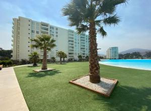 a group of palm trees in front of a building at Departamento en Papudo laguna con acceso a la playa in Quinquimo