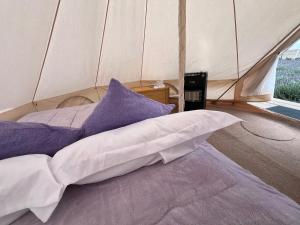 a bed in a tent with purple and white pillows at Glamping Rincón de Lavanda in Texcoco de Mora