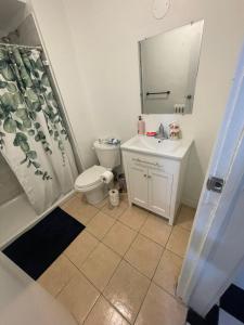 a bathroom with a toilet and a sink and a shower at THE BLOOR AC SUITE-Free Wifi-Train-Bus Stop Next Door in Toronto