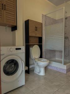 Un baño con inodoro y lavadora. en Cocon Montabo - logement tout équipé avec climatisation et Wi-Fi - à seulement 5 min de la plage, en Cayenne