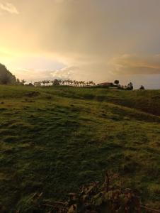 Φωτογραφία από το άλμπουμ του Colonial Hostal Filandia σε El Pueblo