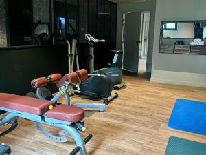 Phòng/tiện nghi tập thể dục tại Mercure Carcassonne La Cité