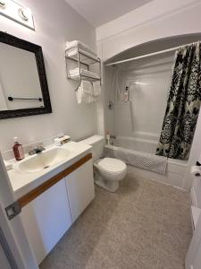 a bathroom with a sink and a toilet and a shower at City View Charm St John's 1br, 8min To Downtown in Port Rexton