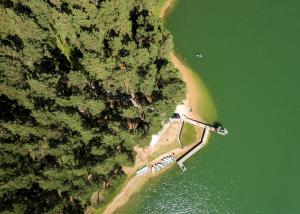 an overhead view of a beach with trees and water at ORO Dubingiai in Giraičiai 