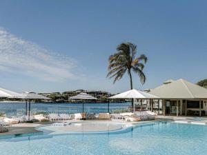 a swimming pool with chairs and umbrellas and a palm tree at Novotel Sunshine Coast Resort in Twin Waters