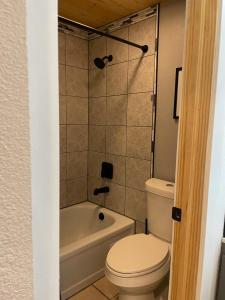 a bathroom with a toilet and a bath tub at Blue Bear - Perfect Mountain Getaway in Idaho Springs +25 photos