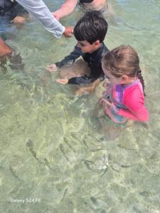 two children in the water with fish in the water at Villa da Apa in Japaratinga +85 photos