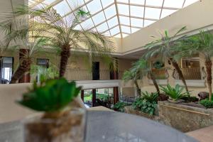 a lobby with palm trees and a table in it at The Lake Hotel Tagaytay in Tagaytay
