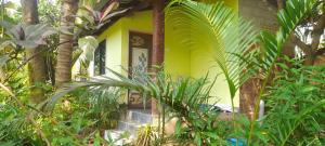 O grădină în afara Beach Farm Stay +33 fotografii